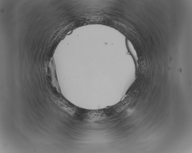 X0000067830756200605111617