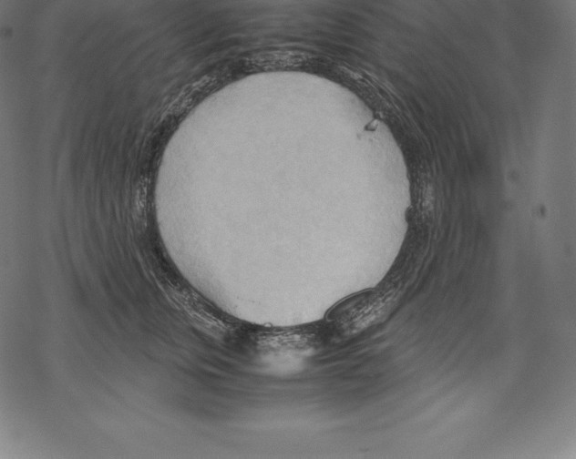 X0000067830759200605111617