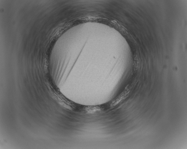 X0000067830762200605111617