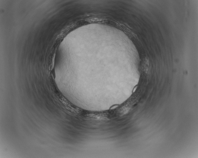 X0000067830763200605111617