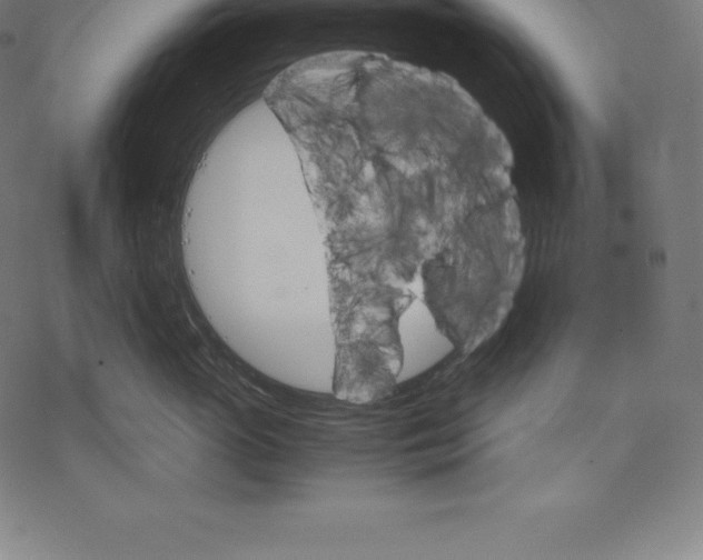 X0000067830765200605111617