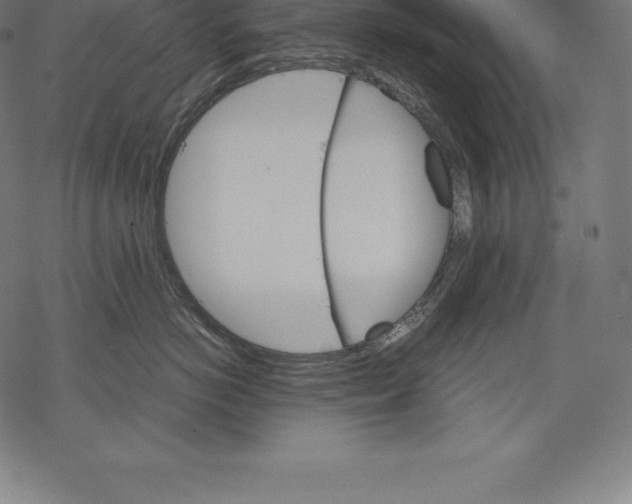 X0000067830766200605111617