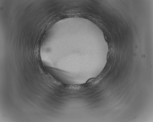 X0000067830767200605111617