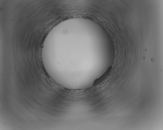 X0000067830768200605111617