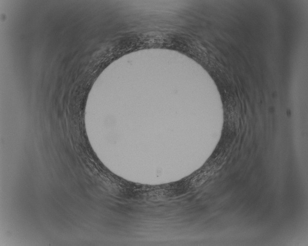 X0000067830769200605111616