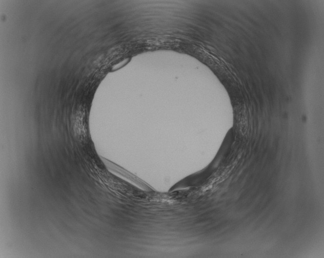 X0000067830770200605111616