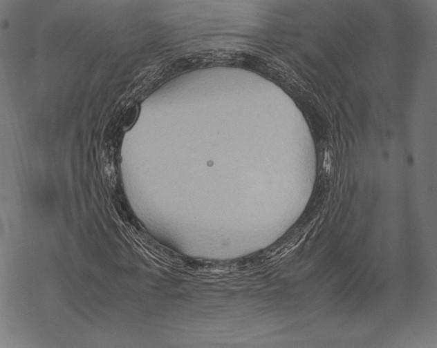 X0000067830771200605111616