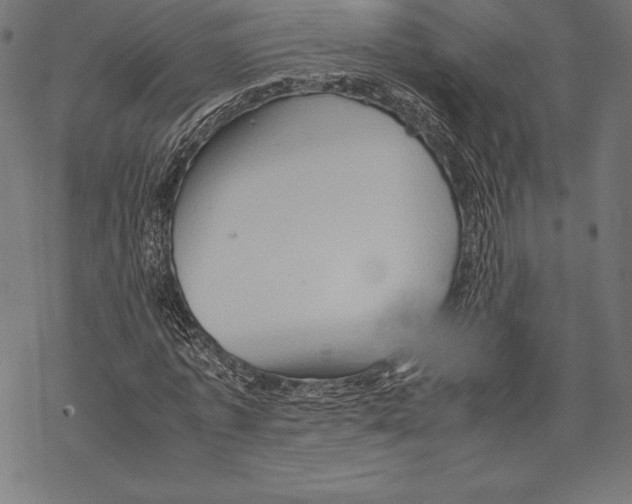 X0000067830773200605111616