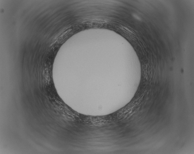 X0000067830774200605111616