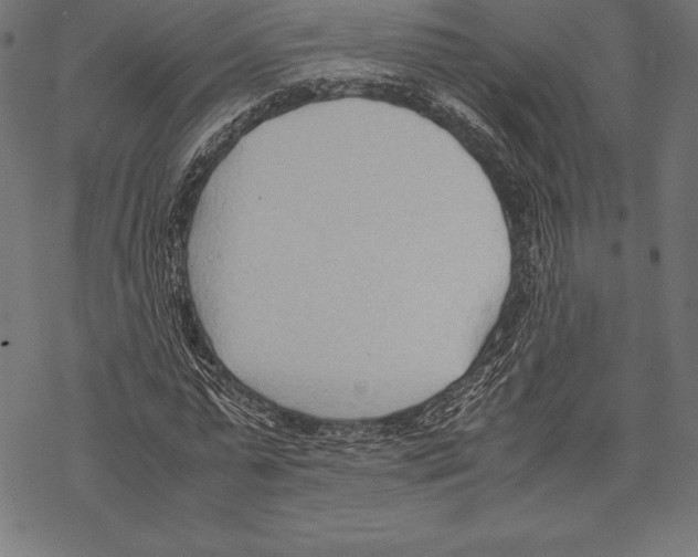 X0000067830775200605111616