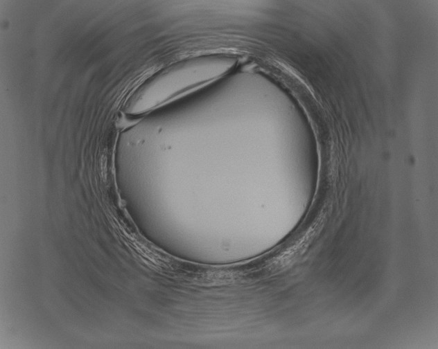 X0000067830777200605111616