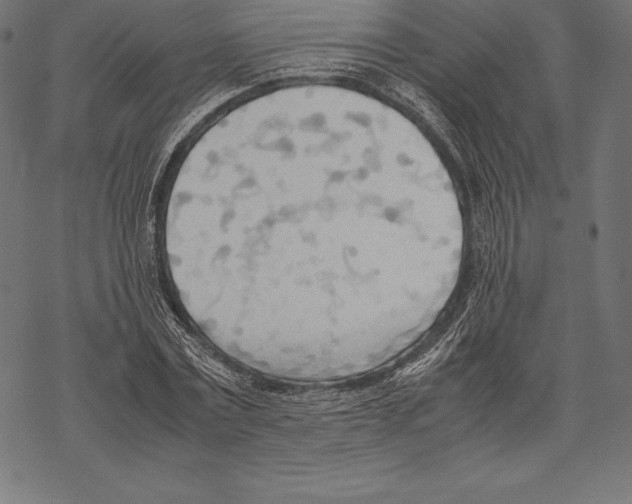 X0000067830779200605111616