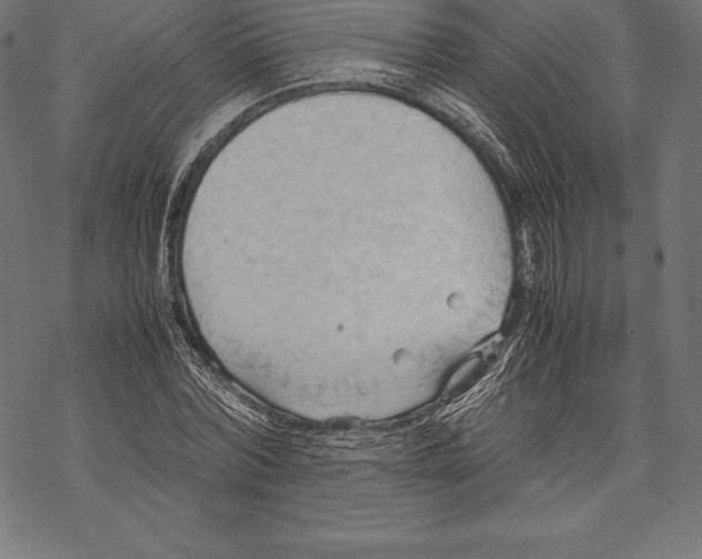 X0000067830780200605111616