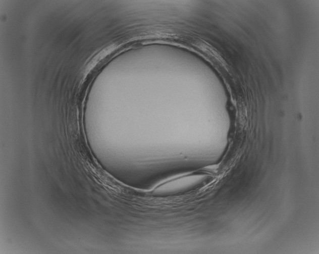 X0000067830781200605111616