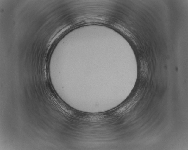 X0000067830782200605111616