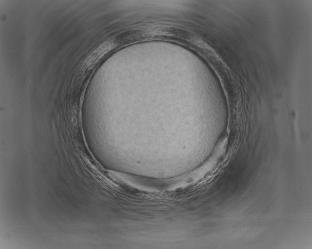 X0000067830785200605111616