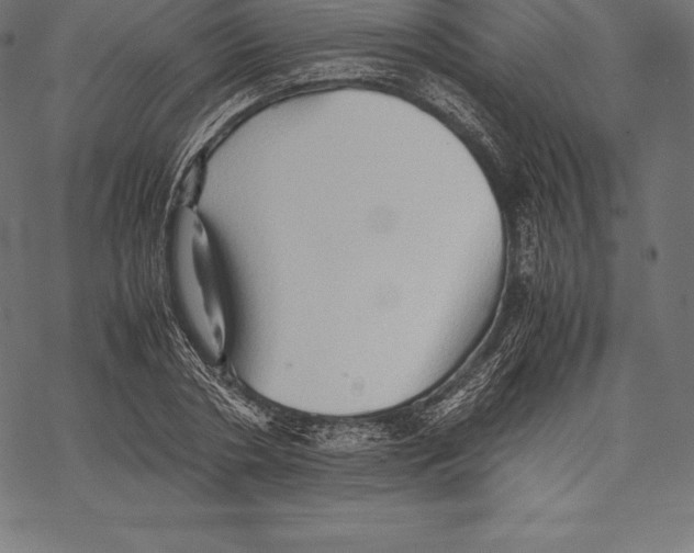 X0000067830786200605111616