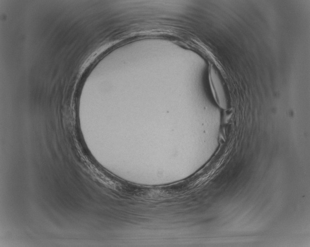 X0000067830787200605111616