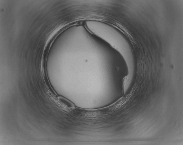 X0000067830788200605111616