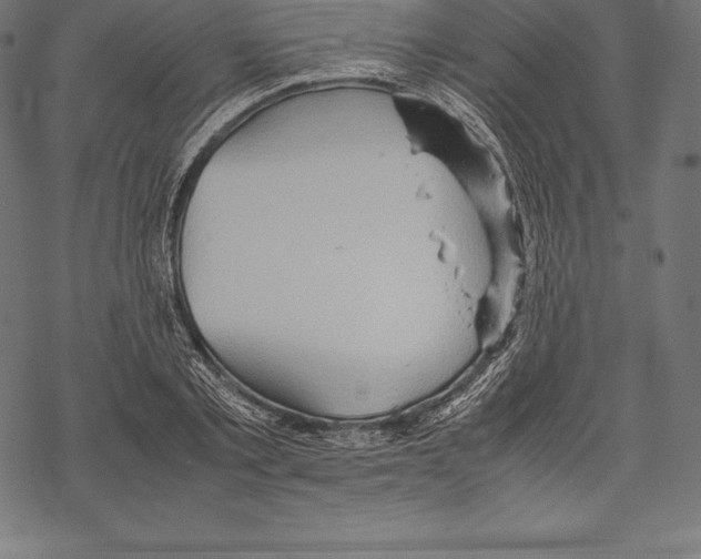 X0000067830789200605111616