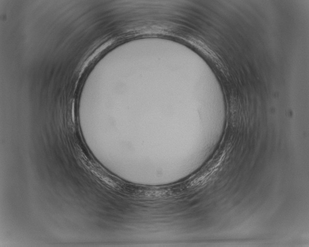 X0000067830790200605111616