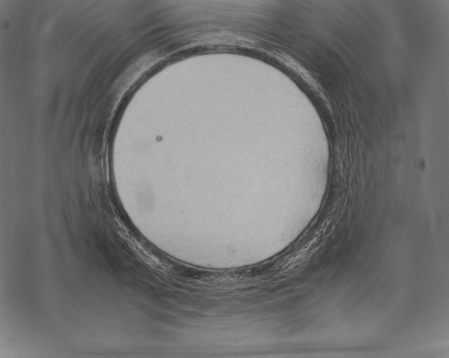 X0000067830791200605111616