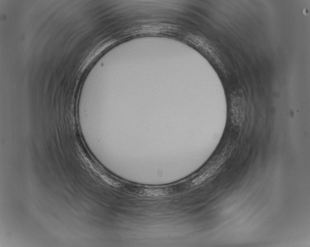 X0000067830794200605111616