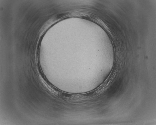 X0000067830795200605111616