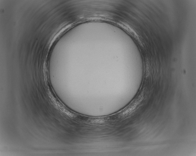 X0000067830798200605111615