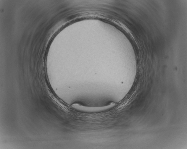 X0000067830799200605111615