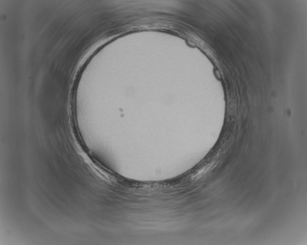 X0000067830803200605111615