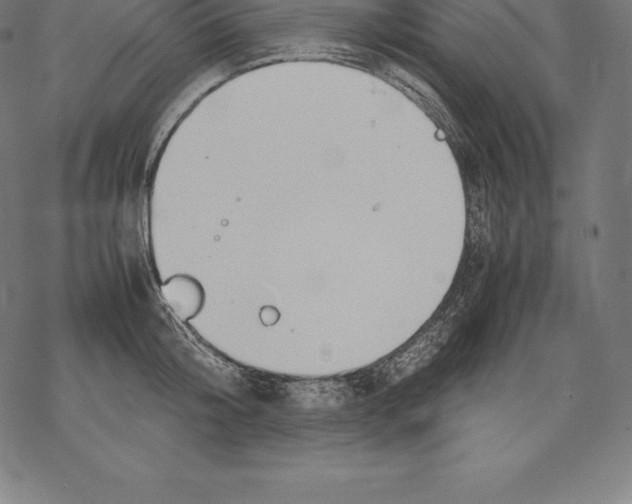 X0000067830804200605111615