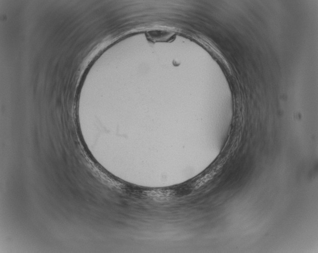 X0000067830805200605111615