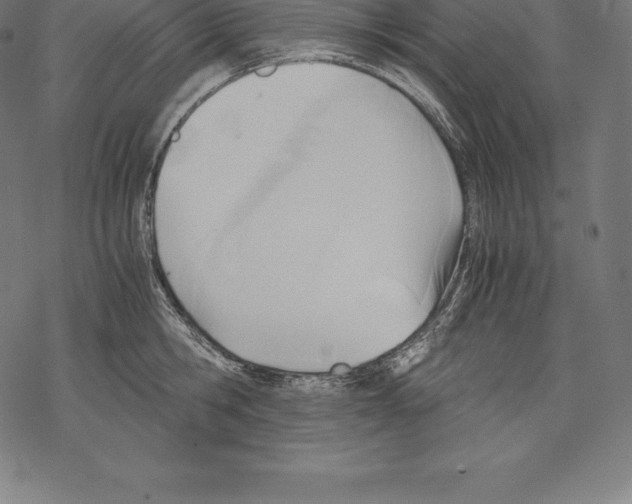 X0000067830806200605111615