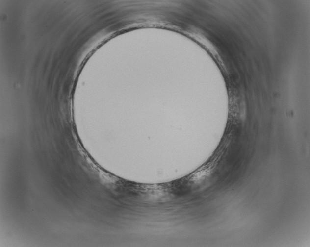 X0000067830807200605111615