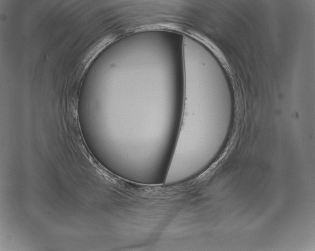 X0000067830809200605111615