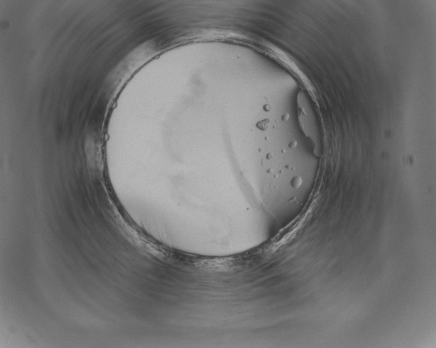 X0000067830810200605111615