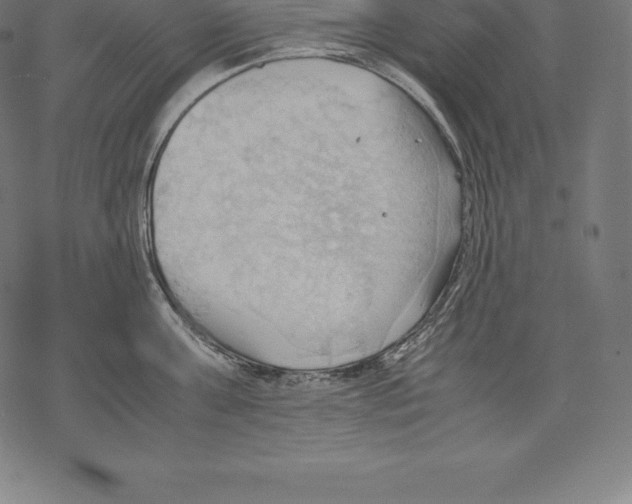 X0000067830811200605111615