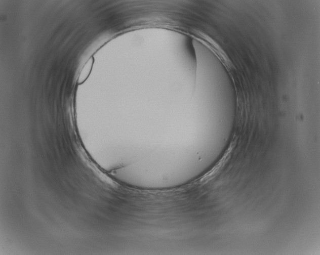 X0000067830812200605111615