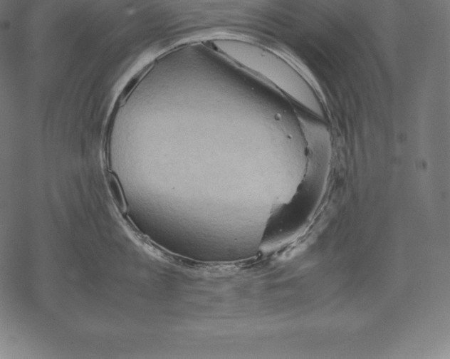 X0000067830813200605111615