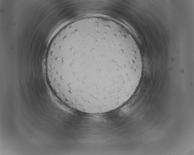 X0000067830814200605111615