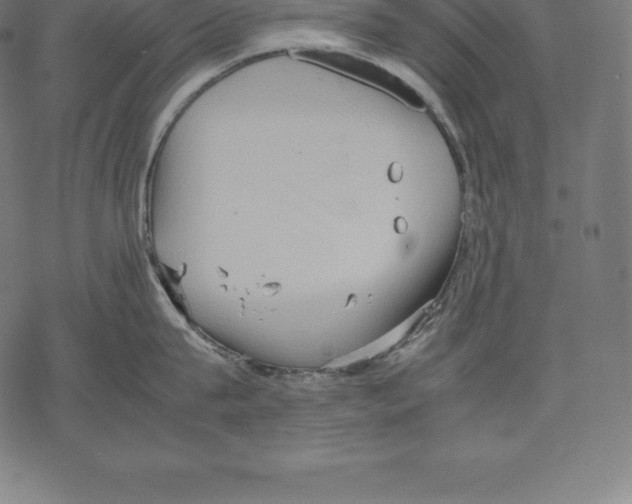 X0000067830815200605111615