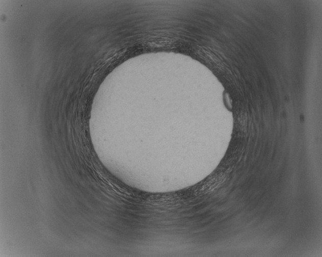 X0000067830817200605111614