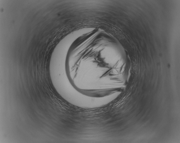 X0000067830818200605111614