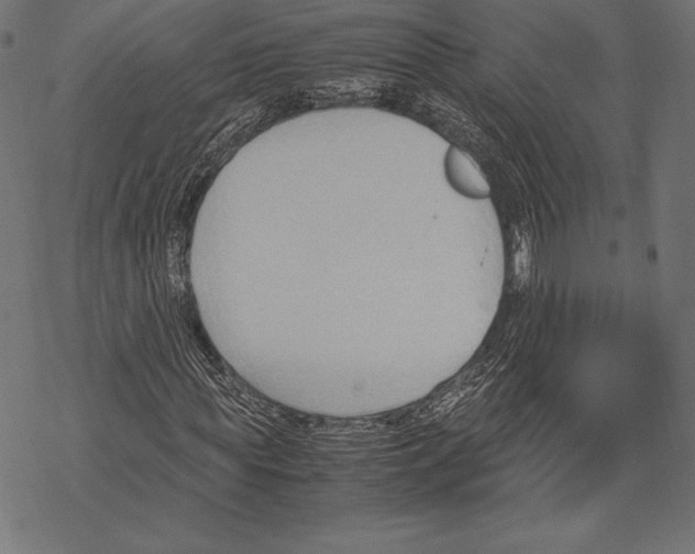 X0000067830819200605111614