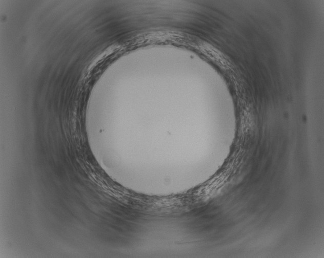 X0000067830824200605111615