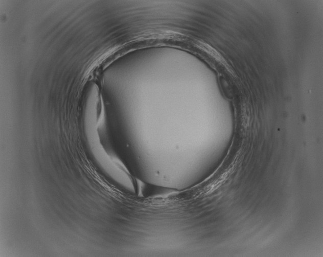 X0000067830826200605111615