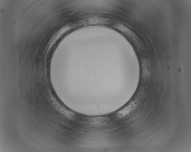 X0000067830828200605111615