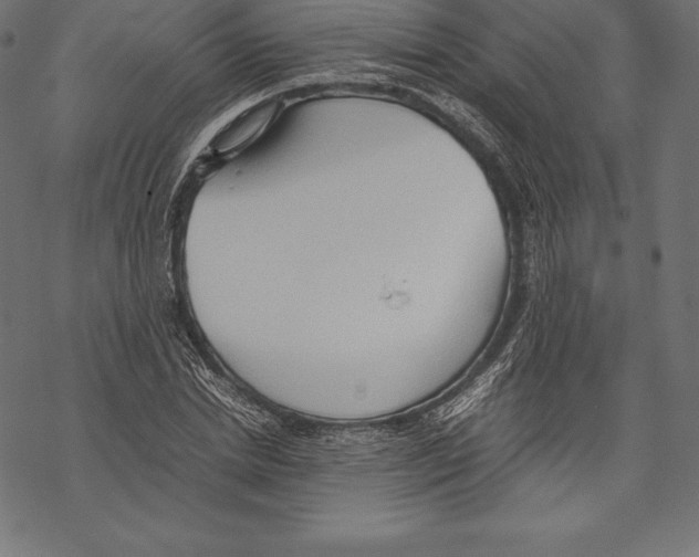 X0000067830830200605111615