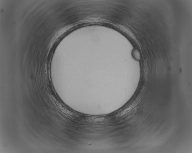 X0000067830831200605111615